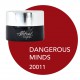 Dangerous Minds 5ml