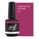 Plum Up The Volume 15ml