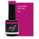 Electrify My Life 15ml (Spice It Up)