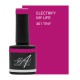 Electrify My Life 7.5ml (Spice It Up)