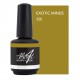 Exotic Minds 15ml